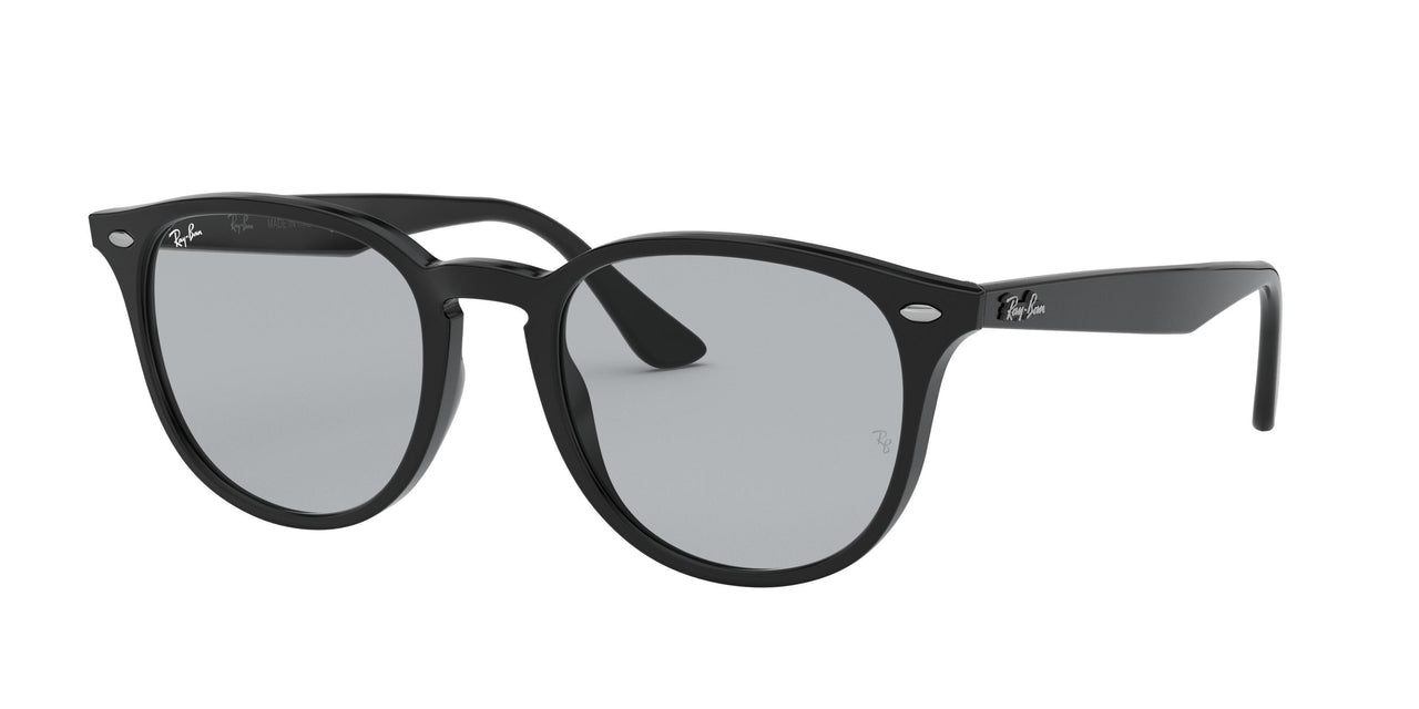 Ray-Ban 4259F Sunglasses