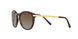 3106T5 - Havana - Brown Gradient Polarized