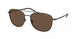 Polo 3127 Sunglasses