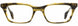 STATE Optical Co. DEVON Eyeglasses