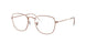 Ray-Ban Frank 3857VF Eyeglasses