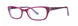 Kensie PAINTER Eyeglasses