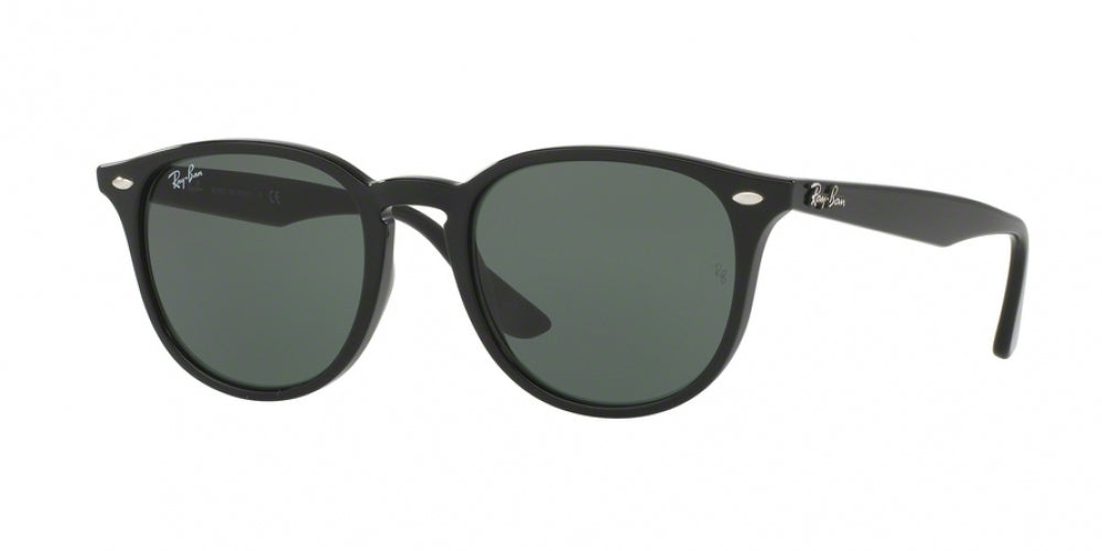 Ray-Ban 4259 Sunglasses