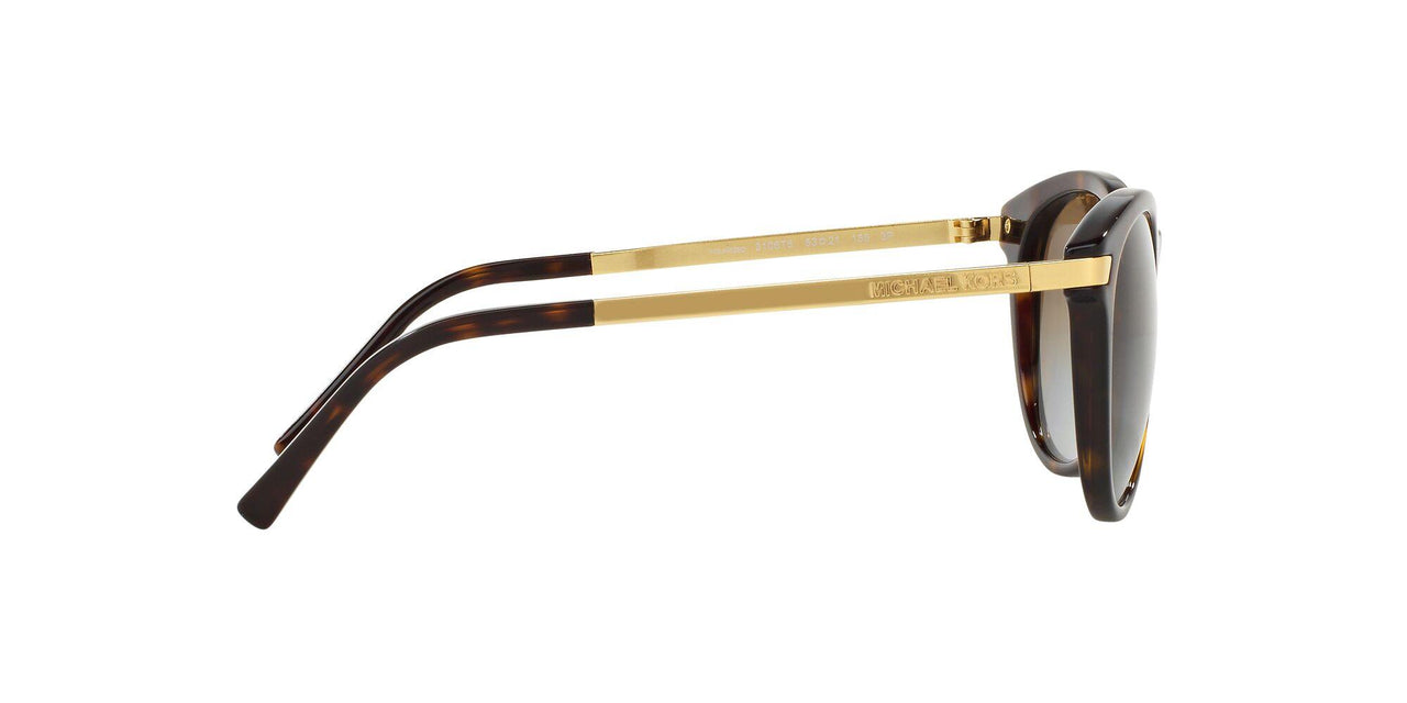 3106T5 - Havana - Brown Gradient Polarized