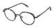 Kliik K-704 Eyeglasses