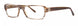 Vera Wang V311 Eyeglasses