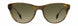 STATE Optical Co. RAVENSWOODSW Sunglasses