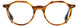 STATE Optical Co. UNION Eyeglasses