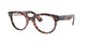 Ray-Ban 2199V Eyeglasses