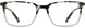 Michael Ryen MR398 Eyeglasses