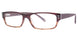 Randy Jackson RJ3021 Eyeglasses