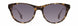 STATE Optical Co. RAVENSWOODSW Sunglasses