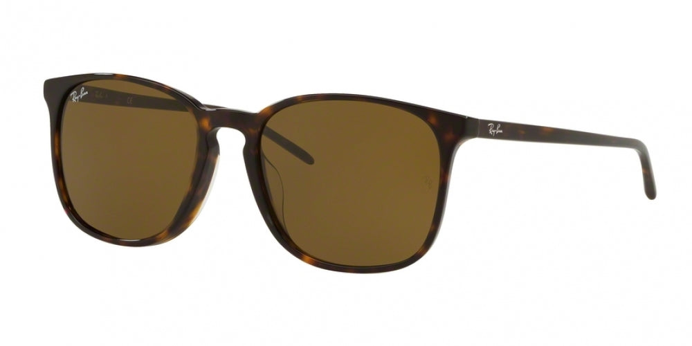 Ray-Ban 4387F Sunglasses