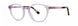 Kensie Fly Eyeglasses