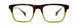 STATE Optical Co. BURNHAM Eyeglasses