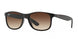 Ray-Ban Andy 4202 Sunglasses