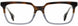 STATE Optical Co. OAKPARK Eyeglasses