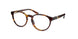 Polo Prep 8538 Eyeglasses
