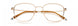 Paradigm 19-03 Eyeglasses