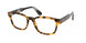 Polo 2214 Eyeglasses