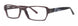 Vera Wang V311 Eyeglasses