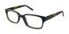 Ted Baker B944 Eyeglasses