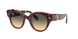 Ray-Ban Roundabout 2192F Sunglasses