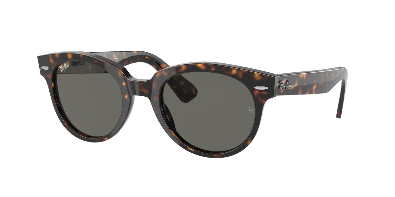 Ray-Ban Orion 2199 Sunglasses