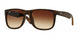 Ray-Ban Justin 4165F Sunglasses