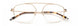 Paradigm 19-06 Eyeglasses