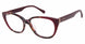 Phoebe PHO-P343 Eyeglasses