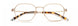 Paradigm 19-01 Eyeglasses