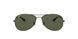 004/58 - Gunmetal - Crystal Green Polarized