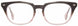 STATE Optical Co. MORGAN Eyeglasses