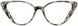 Cinzia CIN5142 Eyeglasses