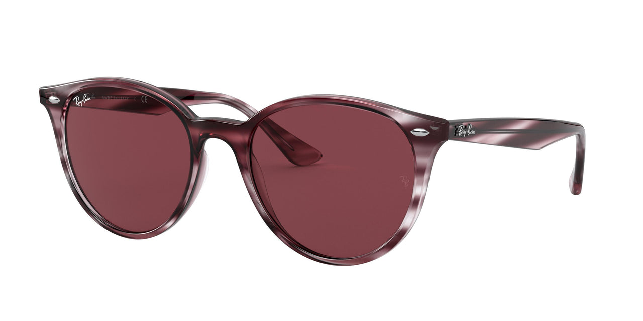 Ray-Ban 4305 Sunglasses