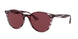 Ray-Ban 4305 Sunglasses