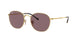 Ray-Ban Rob 3772 Sunglasses