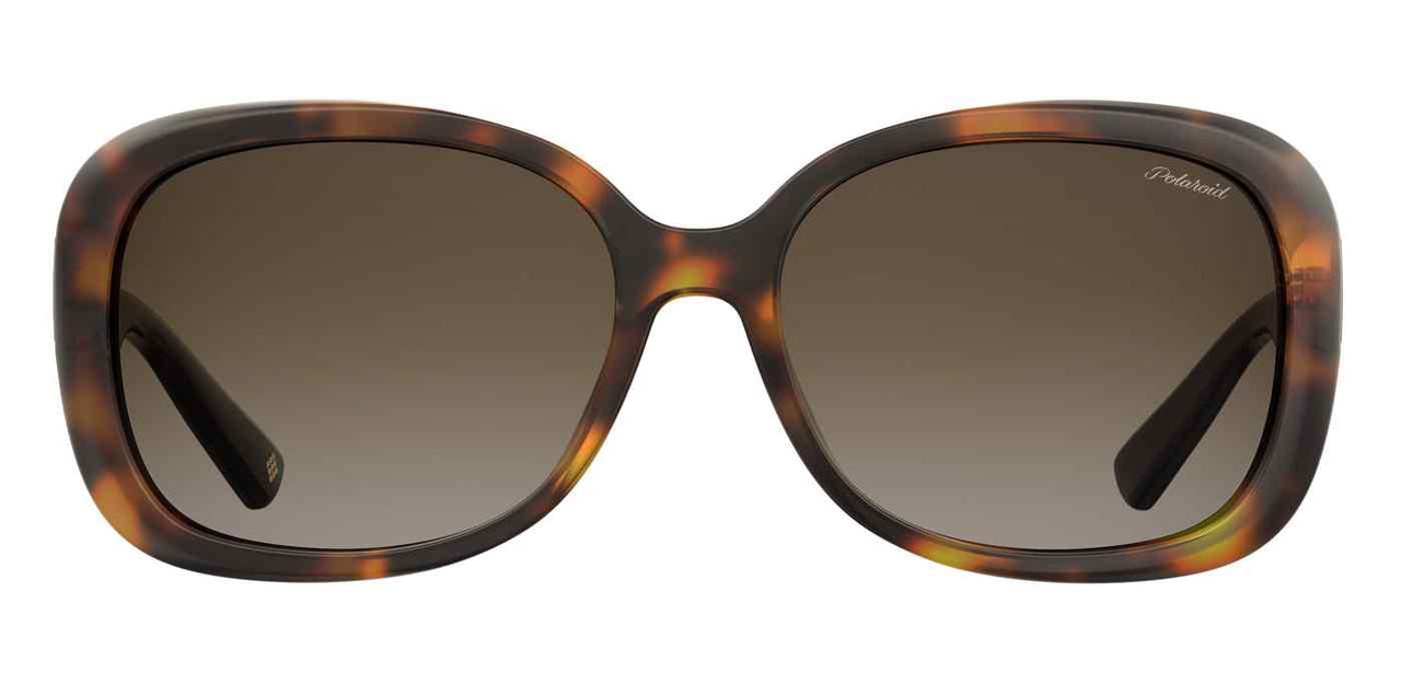 0086-LA - Dark Havana - Brown Gradient Polz Lens