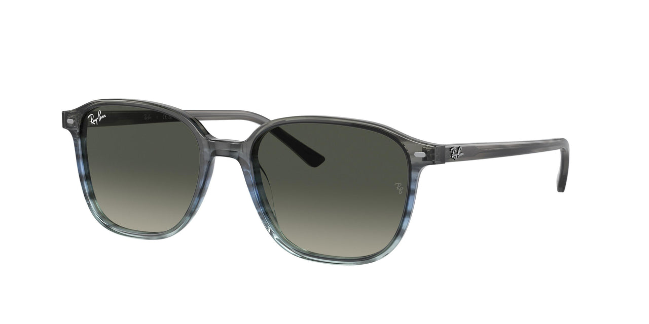 Ray-Ban Leonard 2193F Sunglasses