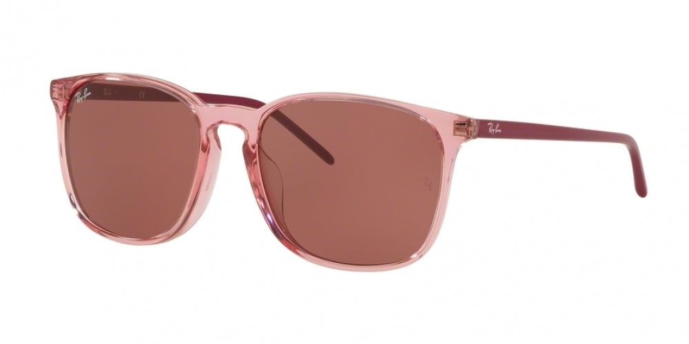 Ray-Ban 4387F Sunglasses