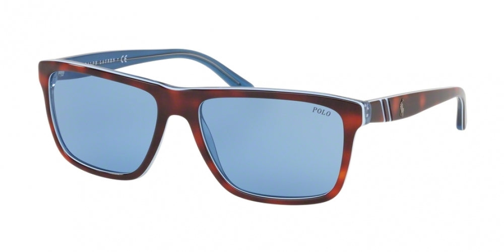 Polo 4153 Sunglasses