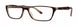 Vera Wang V348 Eyeglasses