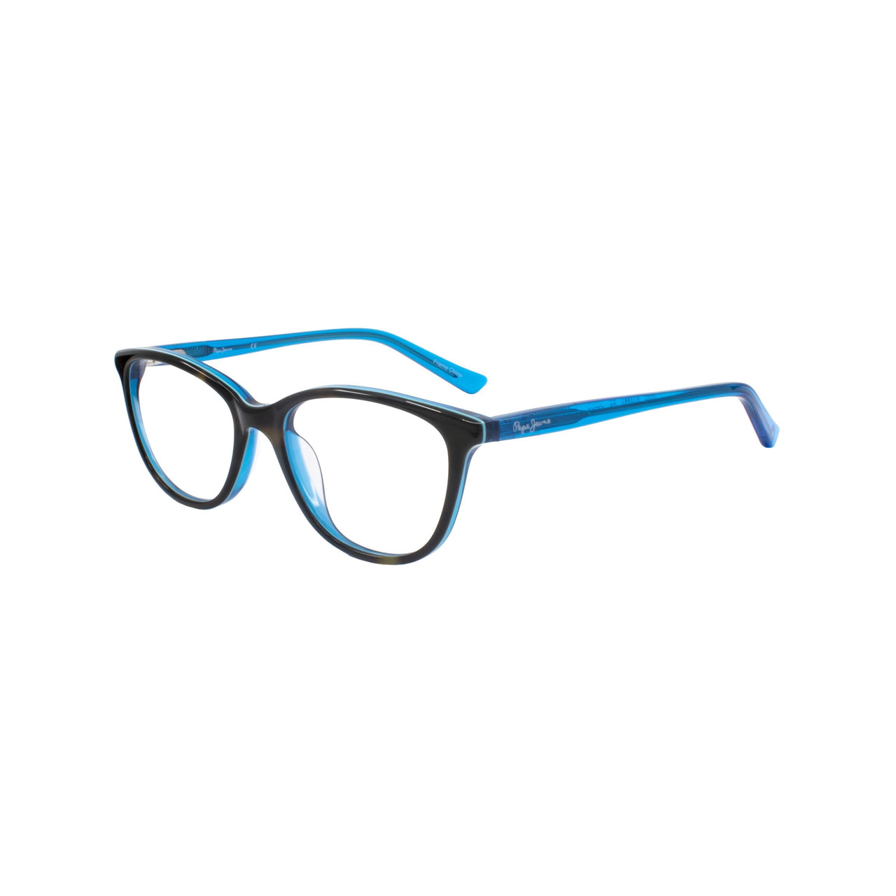 6 - C Tortoise Blue