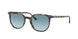 Ray-Ban Elliot 2197F Sunglasses