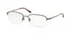 Polo 1001 Eyeglasses