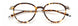 Paradigm 19-23 Eyeglasses