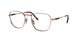 Ray-Ban Frank Titanium 8258V Eyeglasses