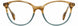 STATE Optical Co. WELLS Eyeglasses