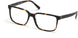 Marcolin 3031 Eyeglasses